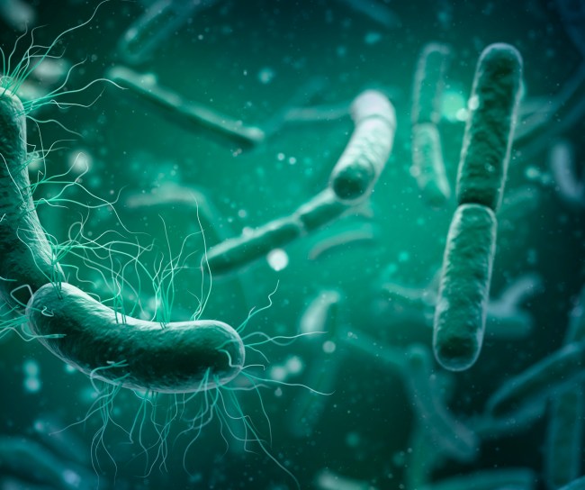 3D ilustracia infekcia