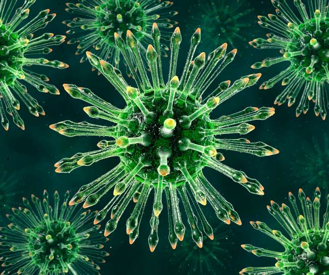 Vizualizacia HIV