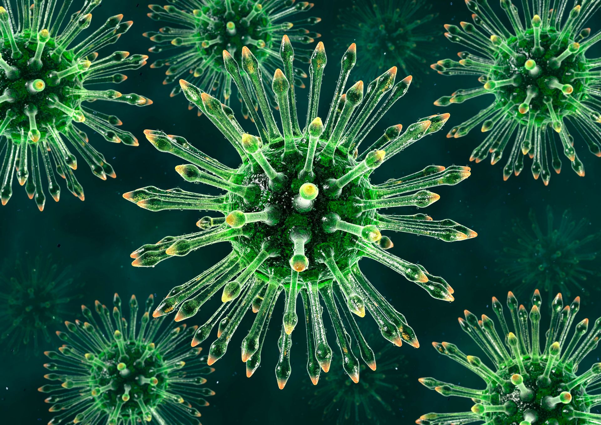 Vizualizacia HIV