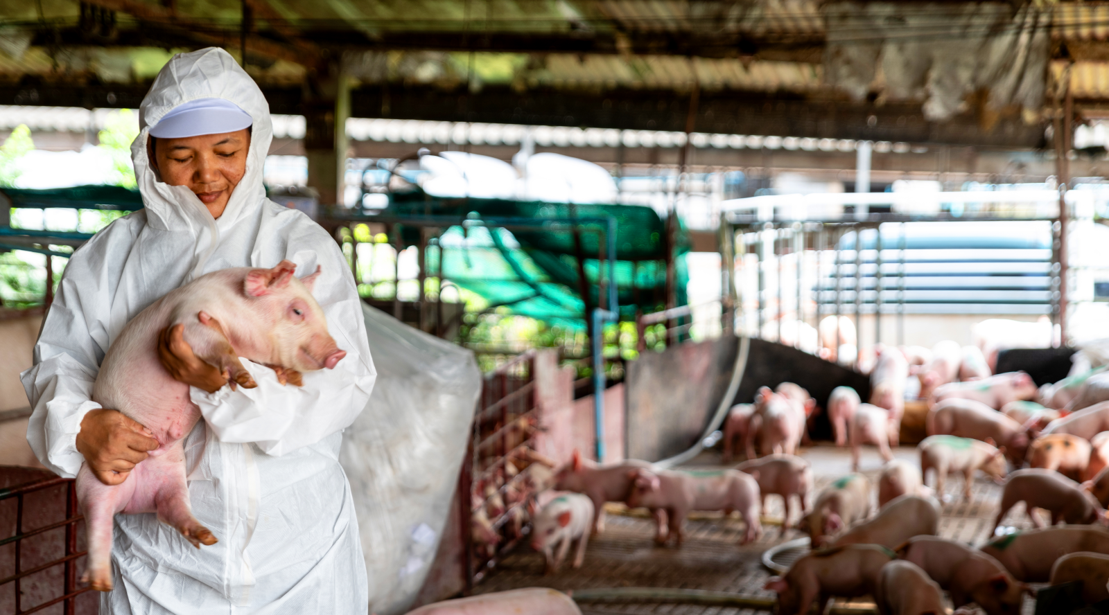 Featured banner image