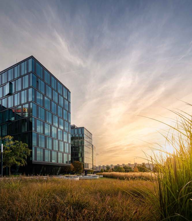 Sidlo MSD Digital Park Bratislava